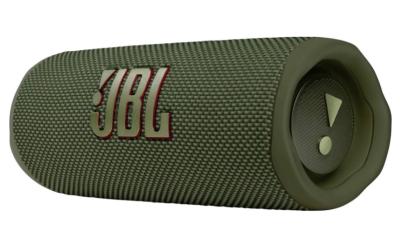 JBL Flip 6 Green