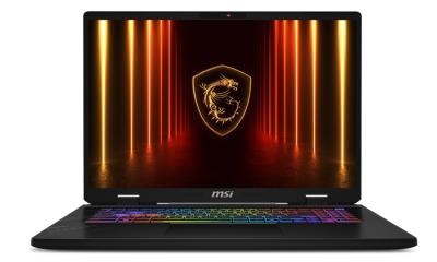 MSI Crosshair 17 HX D2XWGKG-039CZ Cosmos Gray