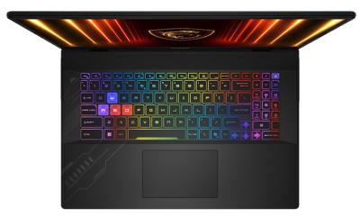 MSI Crosshair 17 HX D2XWGKG-039CZ Cosmos Gray