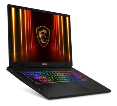 MSI Crosshair 17 HX D2XWGKG-039CZ Cosmos Gray